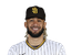 Fernando Tatis Jr. portrait