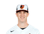 Evan Phillips portrait