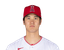 Shohei Ohtani portrait