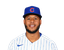 Nelson Velazquez portrait