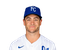 Kyle Isbel portrait
