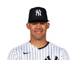 Jasson Dominguez portrait