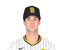 Graham Pauley portrait