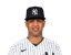 Randy Vasquez portrait