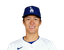 Yoshinobu Yamamoto portrait