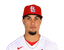 Bryan Torres portrait