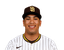 Bradgley Rodriguez portrait