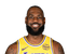 LeBron James portrait