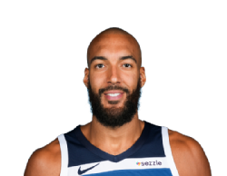 Rudy Gobert portrait