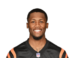 Tee Higgins portrait