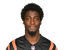 PJ Jules portrait
