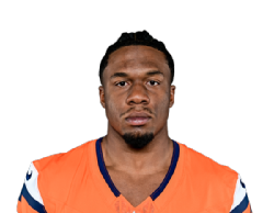 RJ Harvey portrait