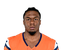 RJ Harvey portrait