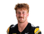 Max Llewellyn portrait