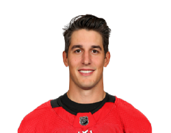 Brady Skjei portrait