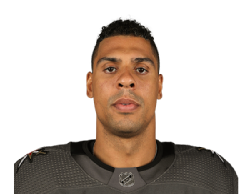 Ryan Reaves portrait