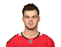 Alex DeBrincat portrait