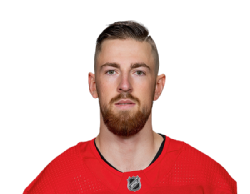Filip Hronek portrait