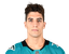 Mario Ferraro portrait