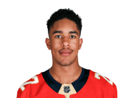 Justin Sourdif portrait