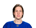 Vsevolod Komarov portrait