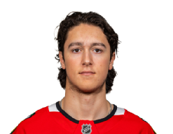 Nick Lardis portrait